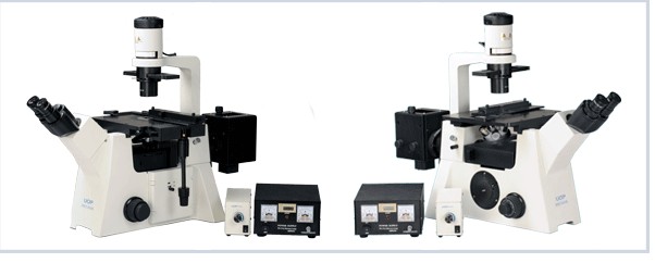 ���ßɹ������@΢�RDSY5000X