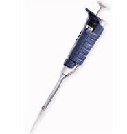 P����Һ��