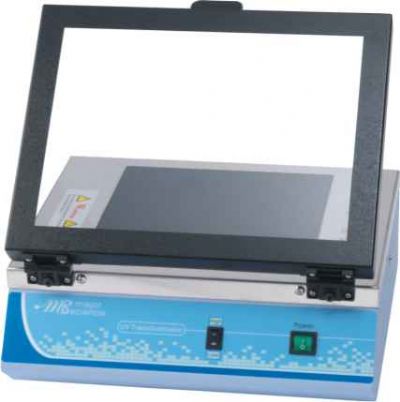 ����MS-����͸��x