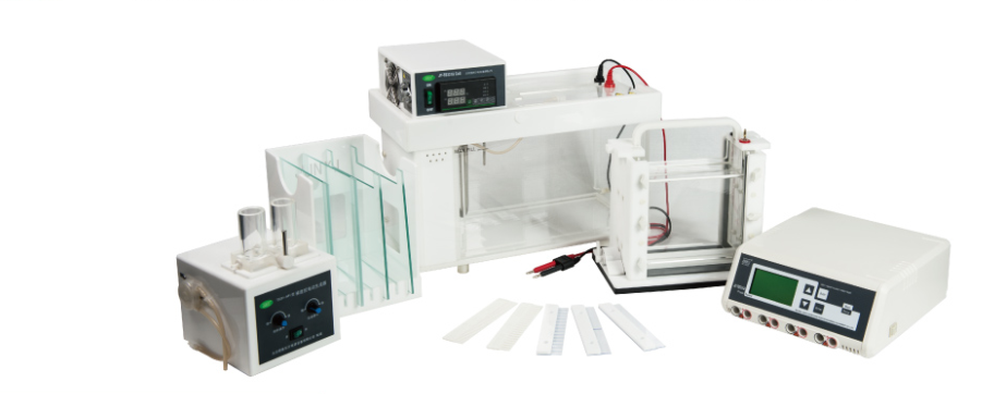 JY-TD331A׃���ݶ����z�Ӿϵ�y(t��ng)DGGE