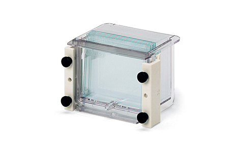 ����(l��)Mini-PROTEAN 3������z���z��