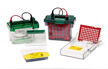 ����(l��)Criterion�A(y��)���zϵ�y(t��ng)