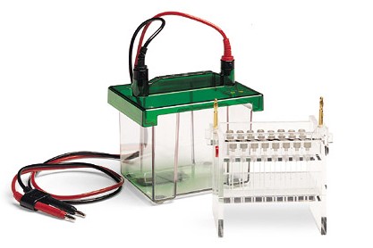 ����Mini-PROTEAN 2-D�Ӿ��