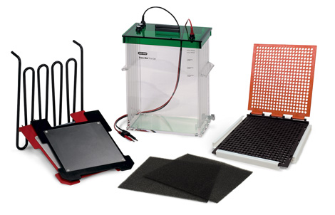 Trans-Blot&reg; Plus �D(zhu��n)ӡ��