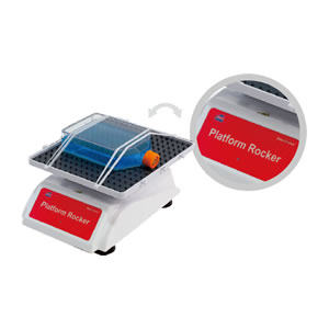 �[��С��NS-04��NS-05U